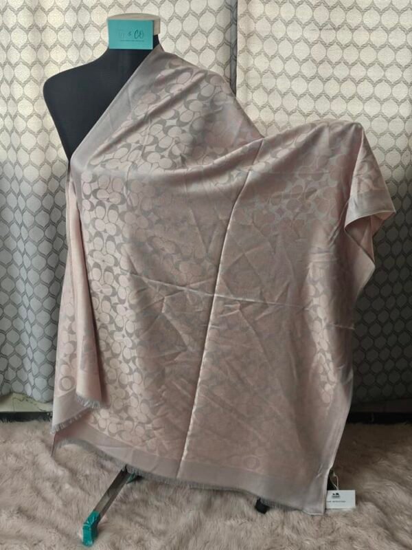 Cashmere thin summer wear for regular wear comfortable shawl - Image 5