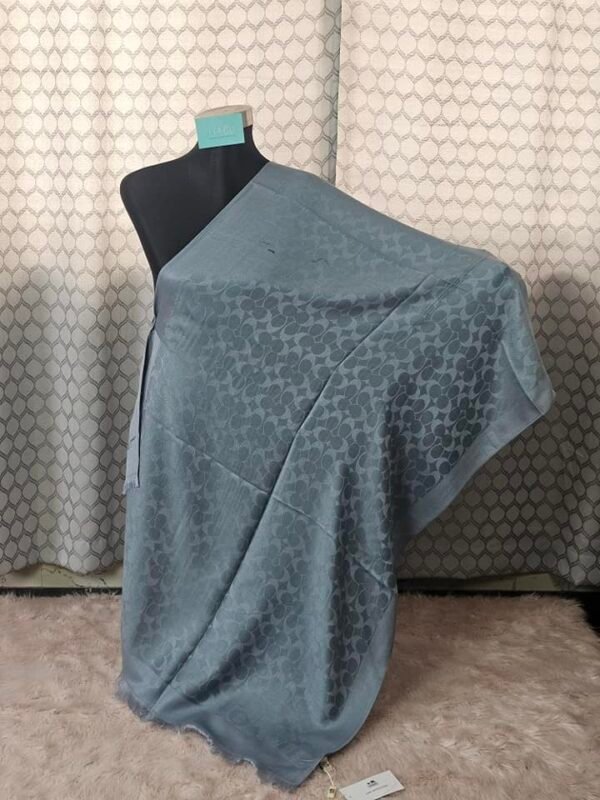 Cashmere thin summer wear for regular wear comfortable shawl - Image 13